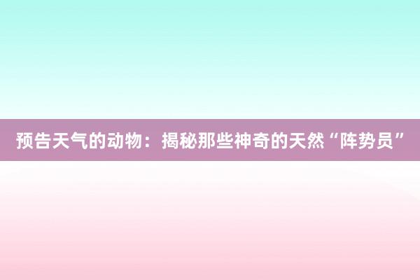 预告天气的动物：揭秘那些神奇的天然“阵势员”